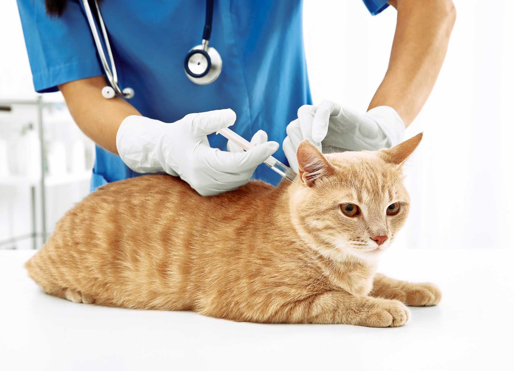 Vaccinations