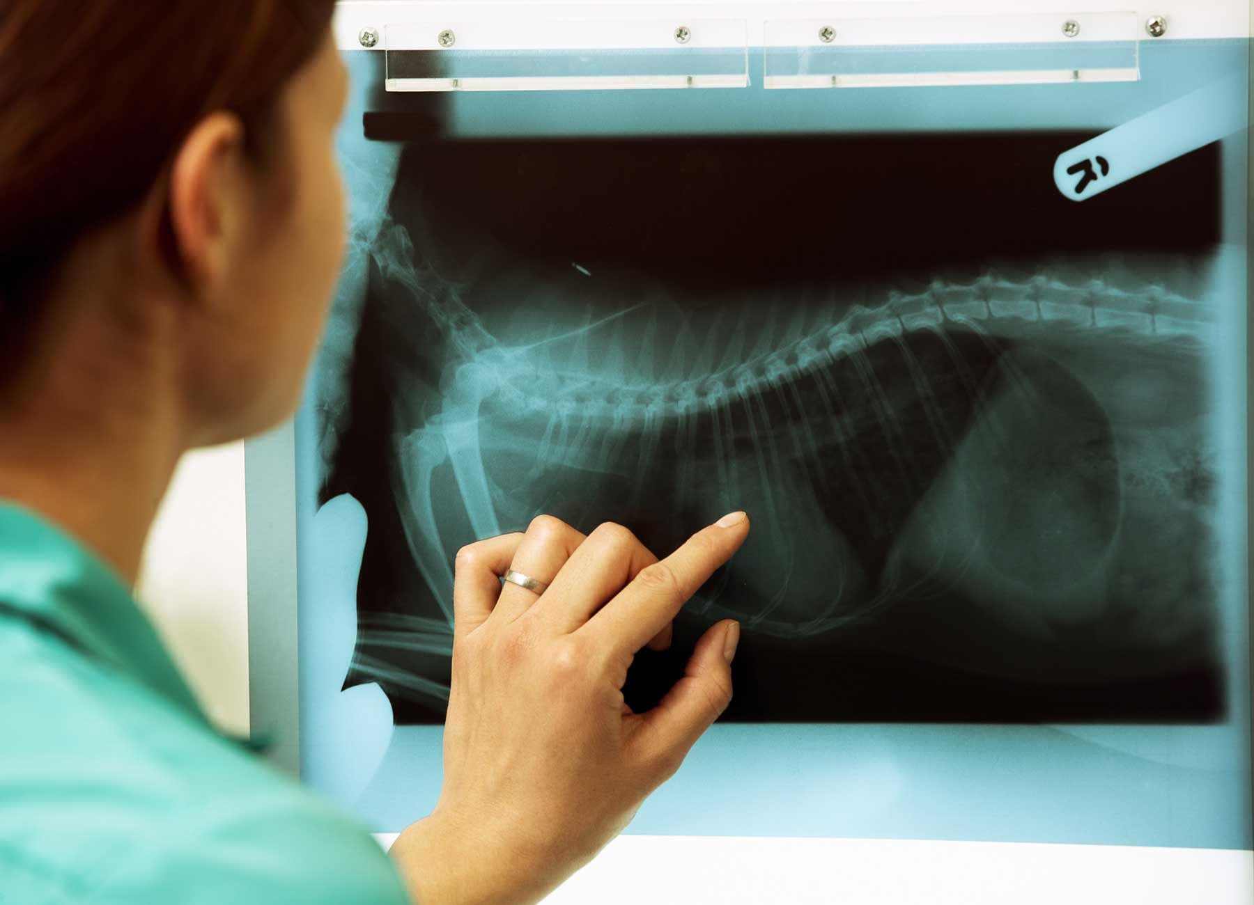 Diagnostics